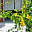 GOOD VIBE garden house Sattahip