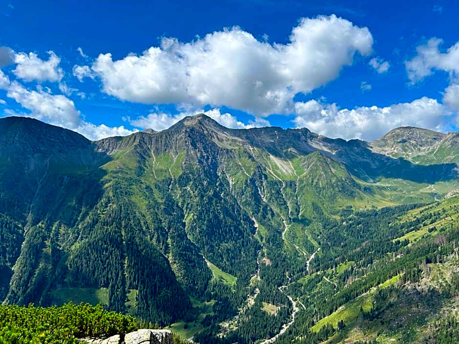 Alpengasthof Gutenbrunn