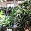 218 Stylish Studio Delux Condo Fast Wifi