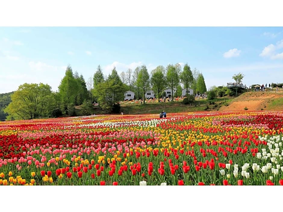 Hotel Yassa - Vacation STAY 08896v