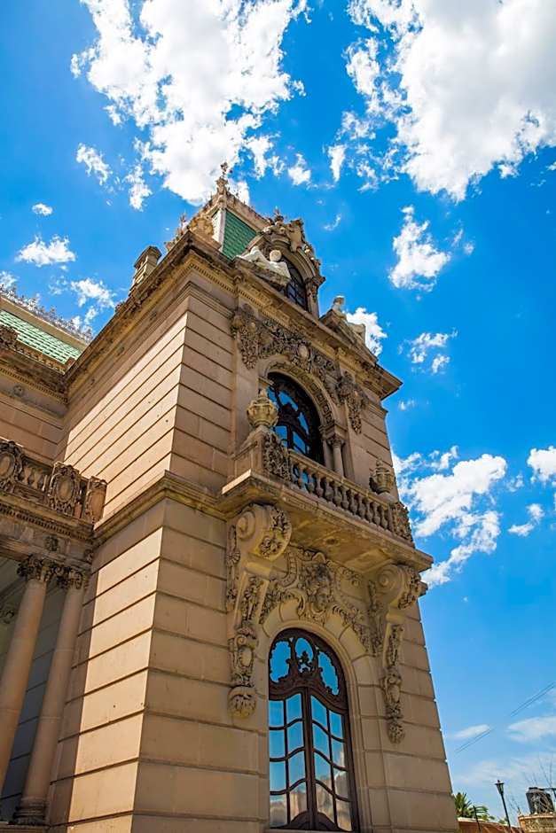 One Chihuahua Fashion Mall