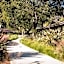 The Ranch at Laguna Beach