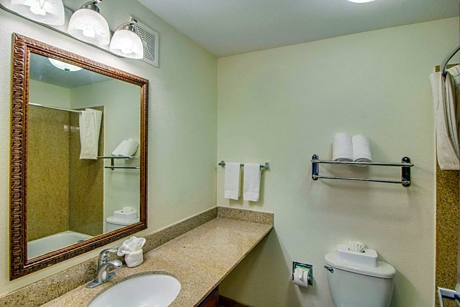 Mainstay Suites Texas Medical Center/Reliant Park