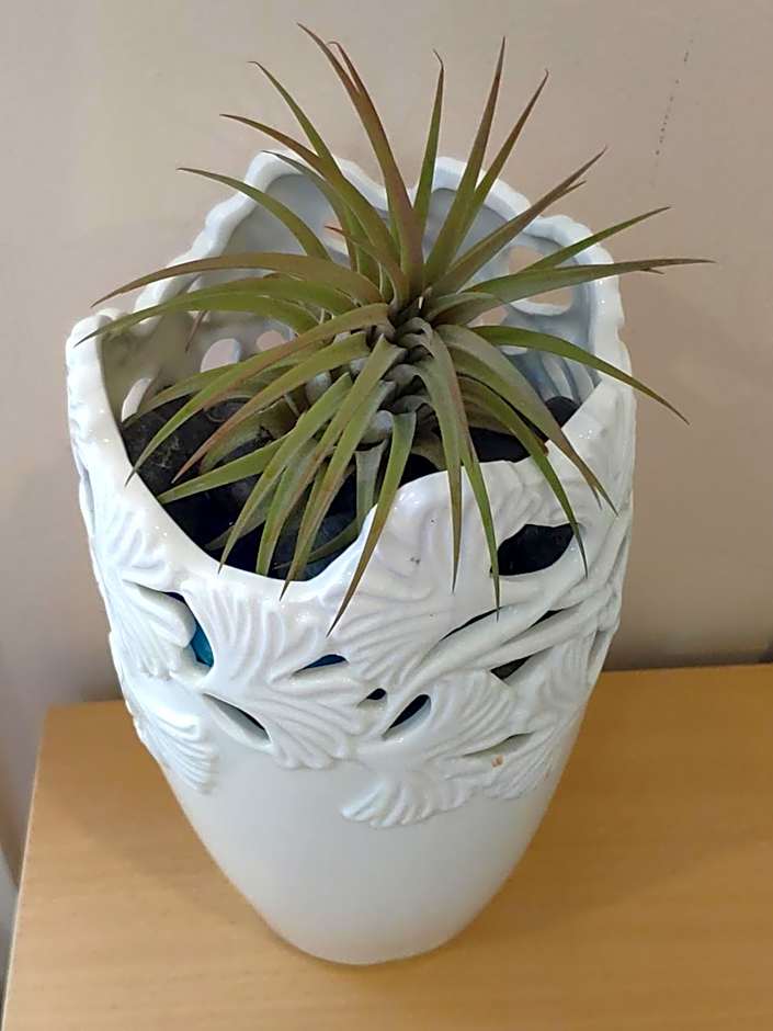 Helen's House / Close to Skytrain and Airport