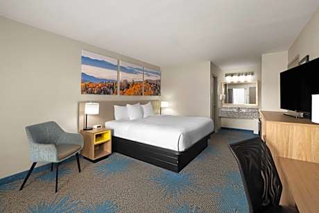 King Room - Pet Friendly/Non-Smoking