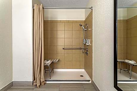 1 Queen Bed, Mobility Accessible, Communication Assistance, Roll In Shower, Non-Smoking, Full Breakf