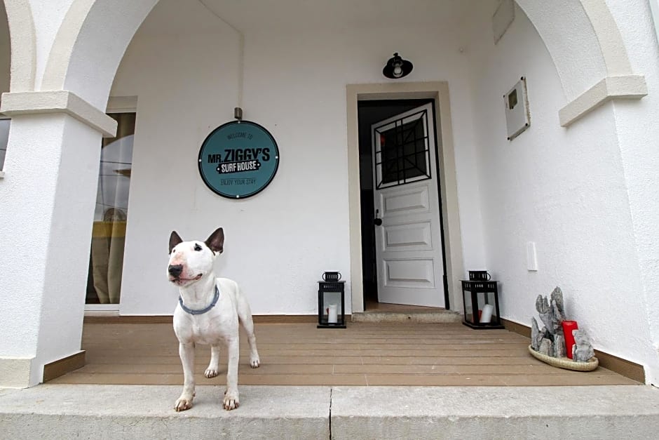 Mr Ziggy's Surfhouse