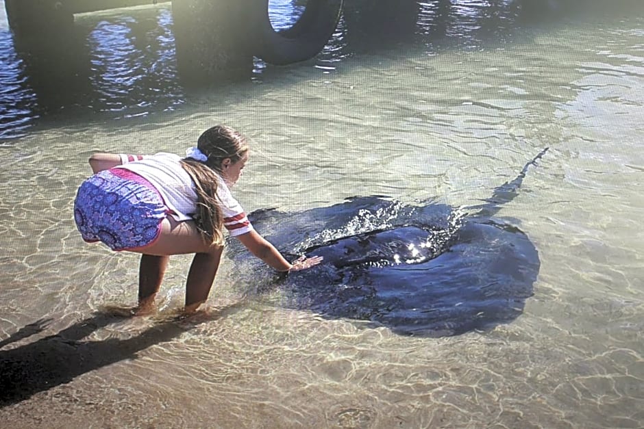 The Sun Catcher Bed & Breakfast