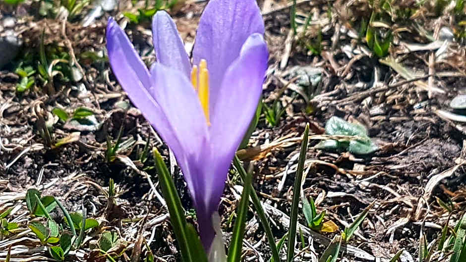 Berggasthof Sonne Allgäu