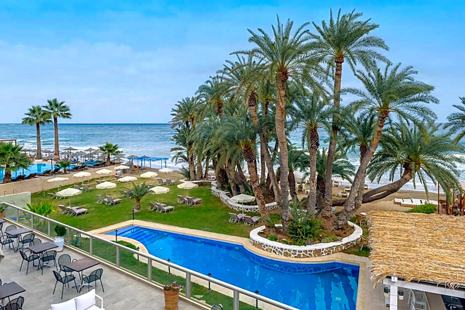 Zeus Hotels Palm Beach