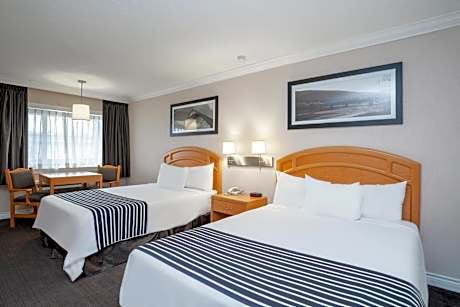 Studio, 2 Queen Beds, Kitchen, Monashee Building