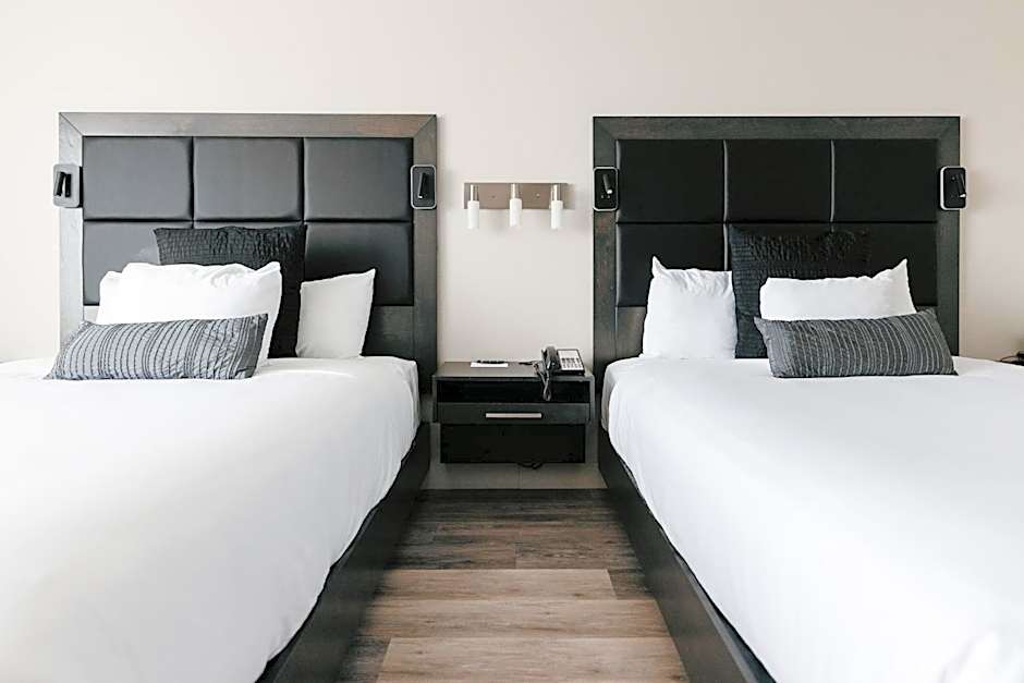 Hotel Universel Alma