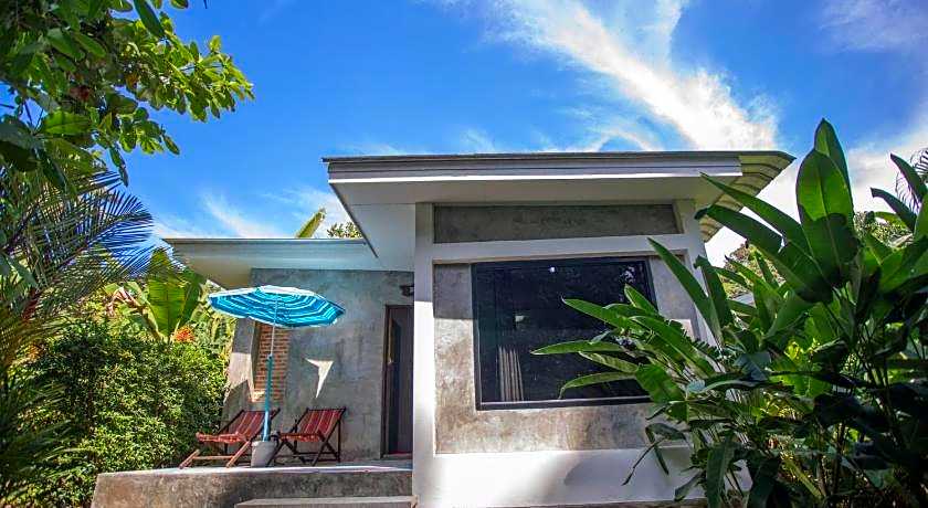 Sunshine on the rock