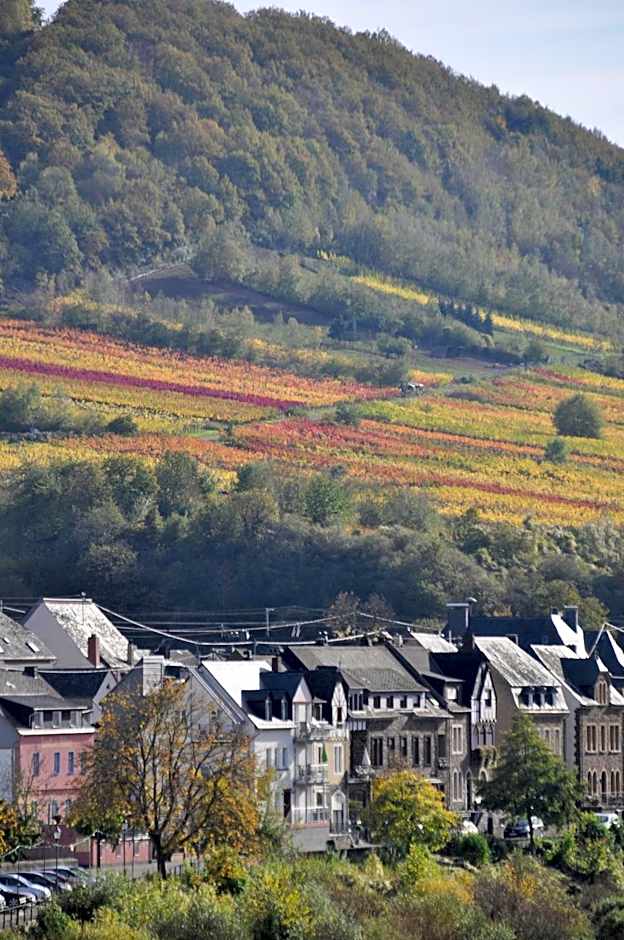 Gästezimmer im Weingut Amlinger&Sohn