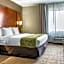 Comfort Suites Dover University Area