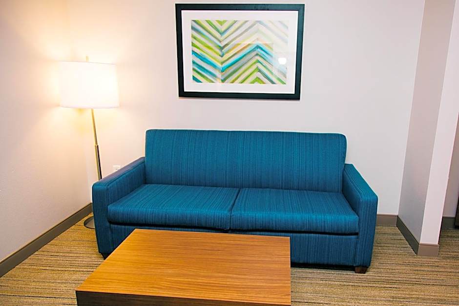 Holiday Inn Express Hotel & Suites Tampa-USF-Busch Gardens By IHG