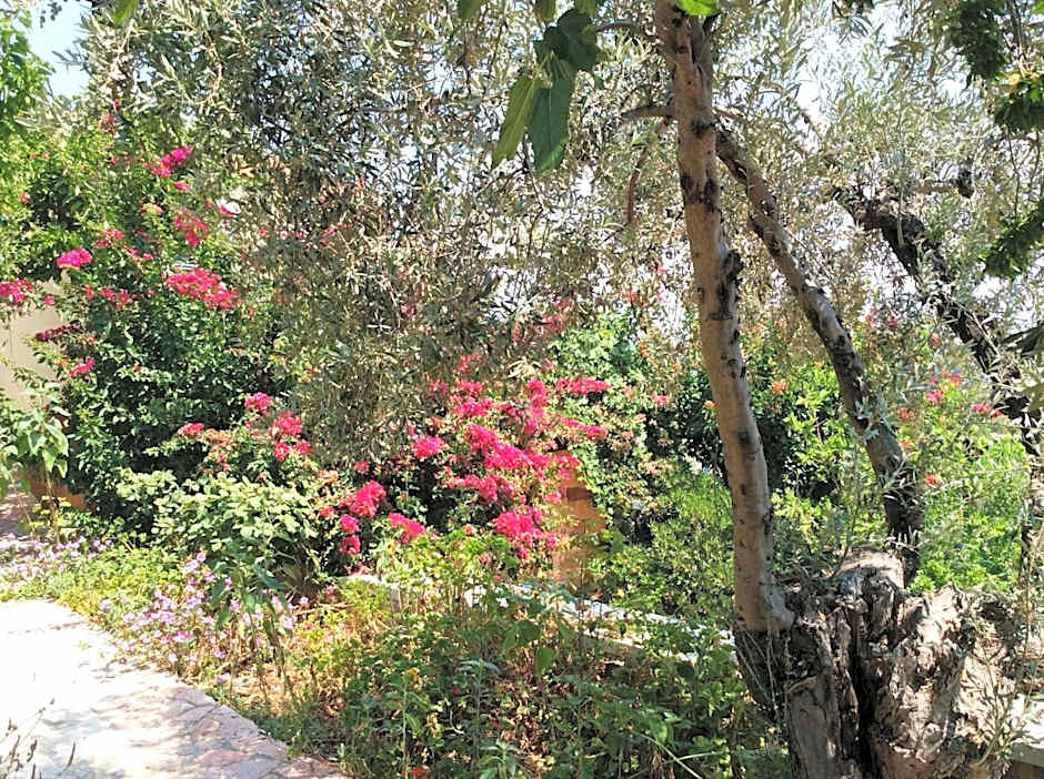 Angelica Villas Hotel Apartments