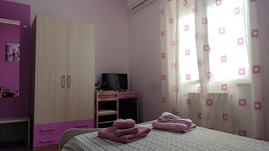 B&B Max