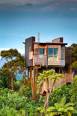 Superior Double or Twin Suite - Tree House