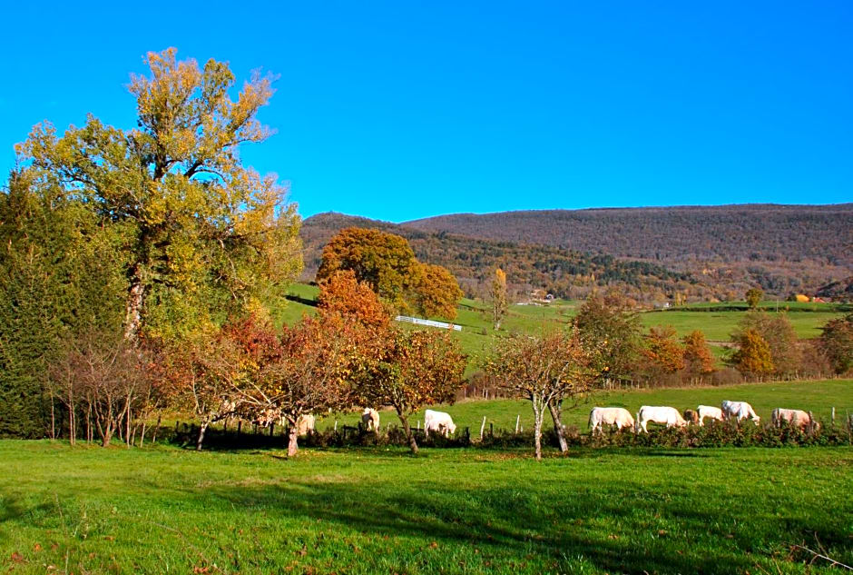 Terres de la Grange B&B