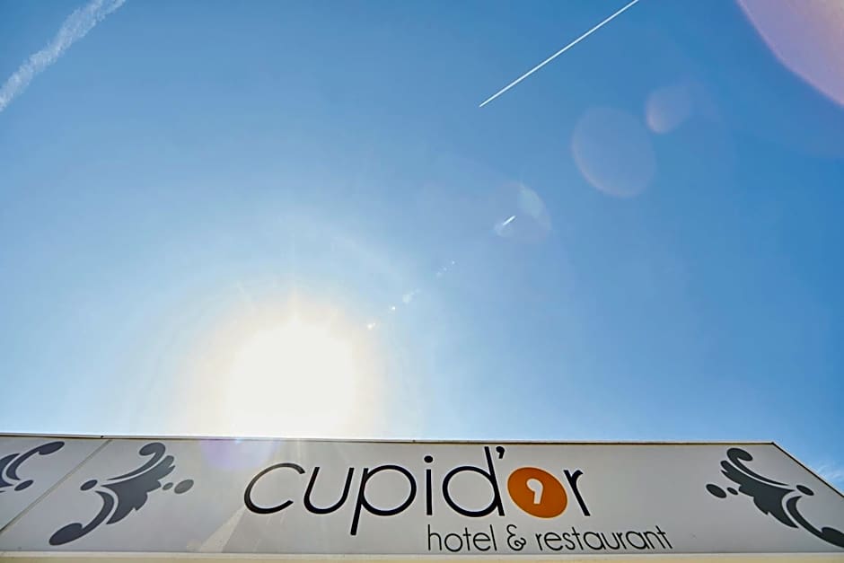 Hotel Cupidor