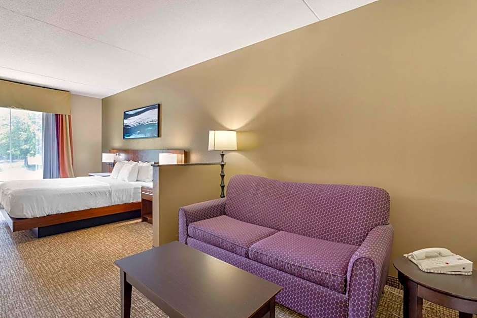 Comfort Suites Knoxville East