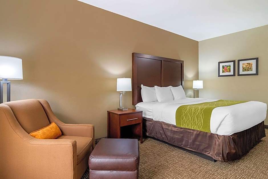 Comfort Inn & Suites Griffin North