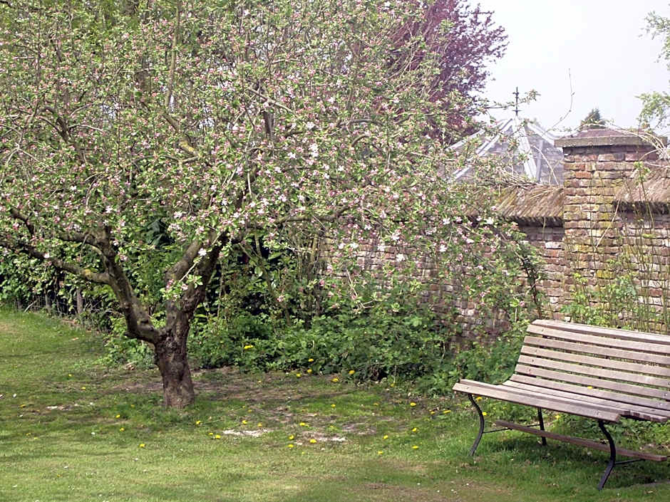 Bed & Breakfast Appeltern