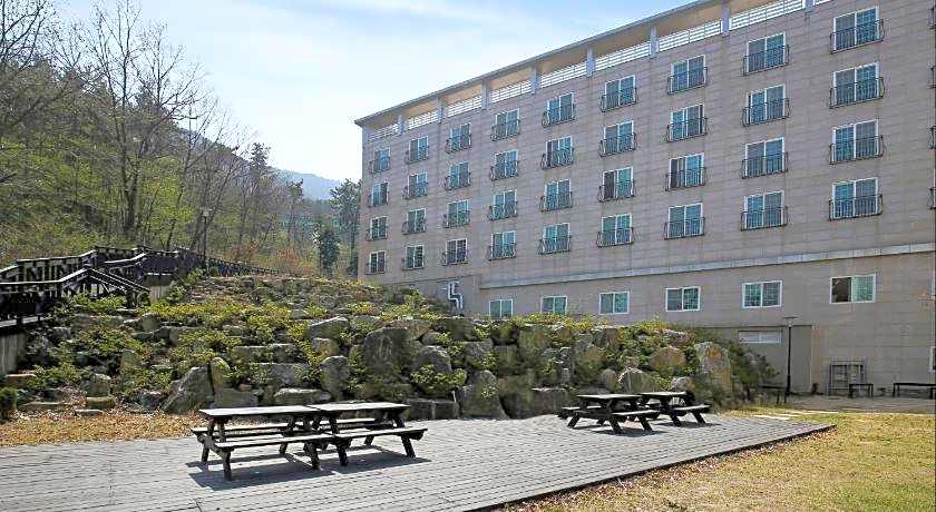 OASIS Hotel