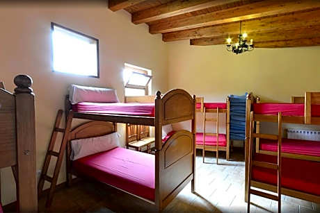 Bunk Bed in Mixed Dormitory Room