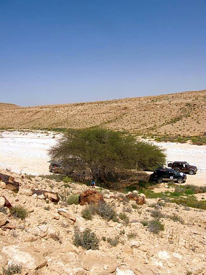 Hadass Desert Inn