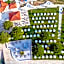 Hotel Vile Park