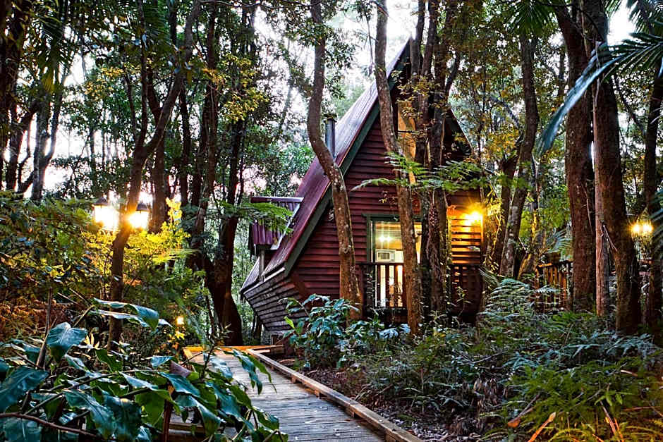 The Mouses House Rainforest Retreat