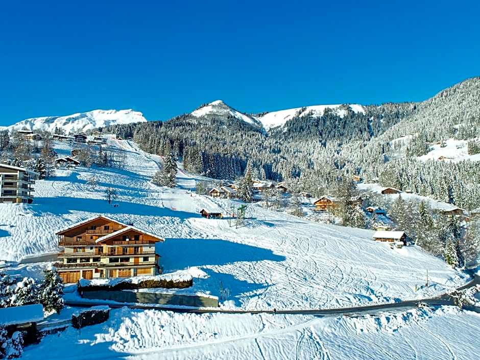 Chalet-Hôtel Les Rhodos