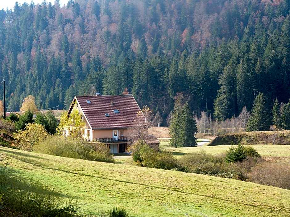 Domaine Des Hauts Viaux