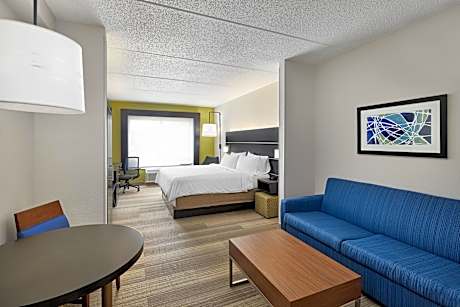 1 King Bed Suite Additional Living Area