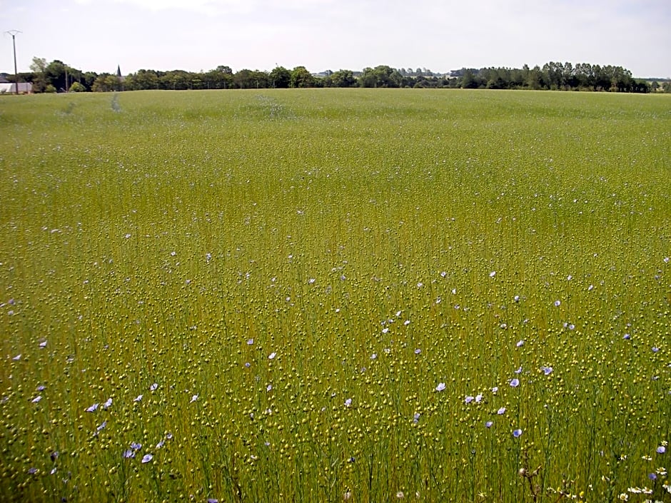 Chambres d'Hôtes " Le Clos des Colimaçons "