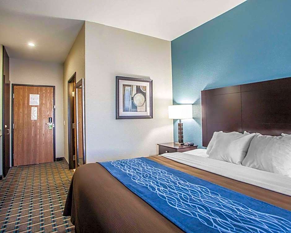 Comfort Inn Lees Summit