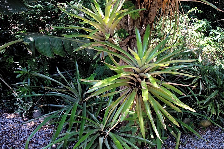 Pousada Aguas Claras Buzios
