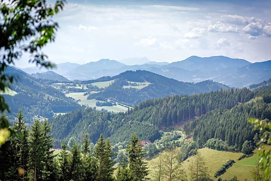 Gasthof Oberer Gesslbauer