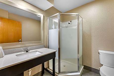 1 King Bed Deluxe Suite Non-Smoking