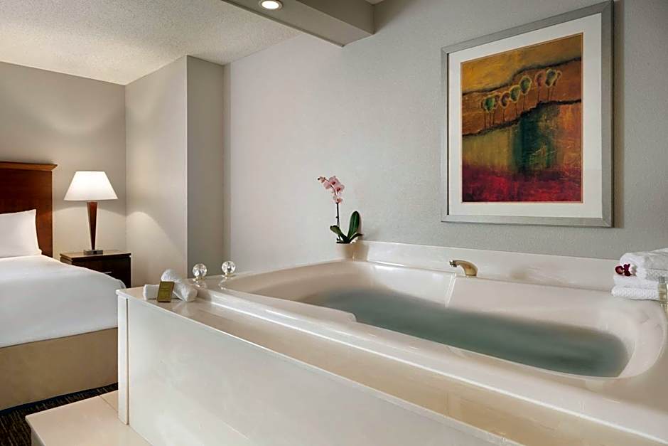 DoubleTree By Hilton Hotel Minneapolis Park Place