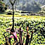 Pousada do Tie - Rio Preto MG
