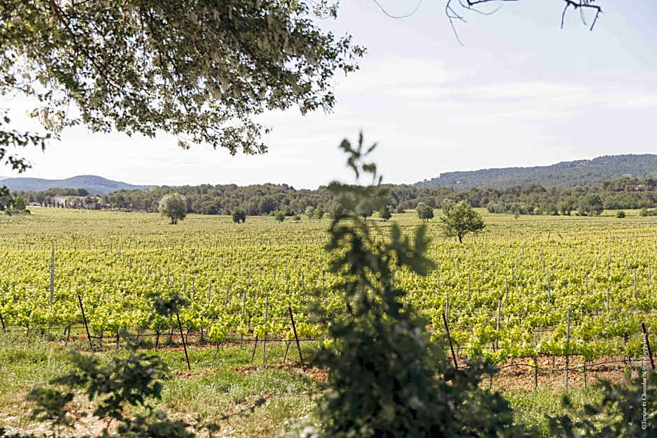 Château de Fonscolombe