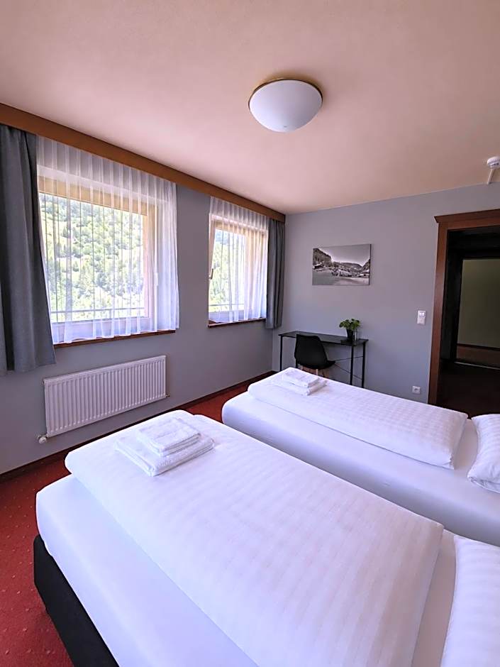 Hotel Buckelhof - See - Free Liftpass Summer