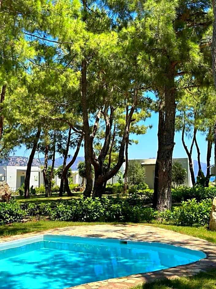 Z-Villas Beach Hotel