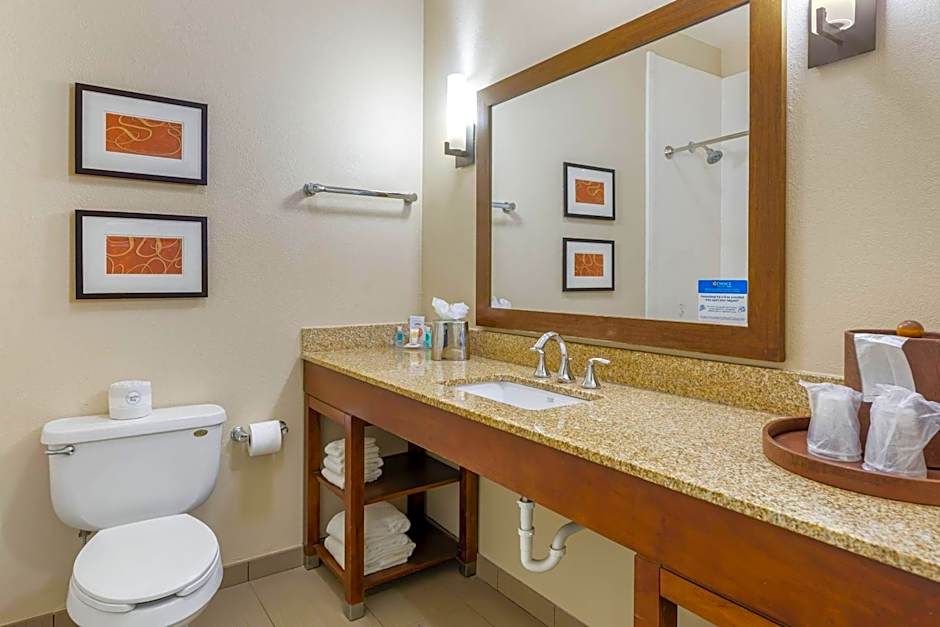 Comfort Inn Memphis Downtown