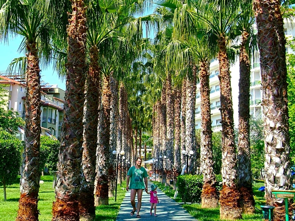 Gardenia Beach Hotel - All Inclusive