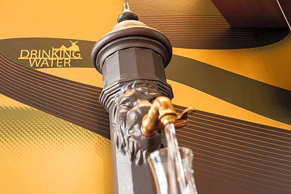 HIRSCHEN OBERKIRCH - Design Boutique Hotel