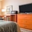 Comfort Inn Metro Airport Romulus